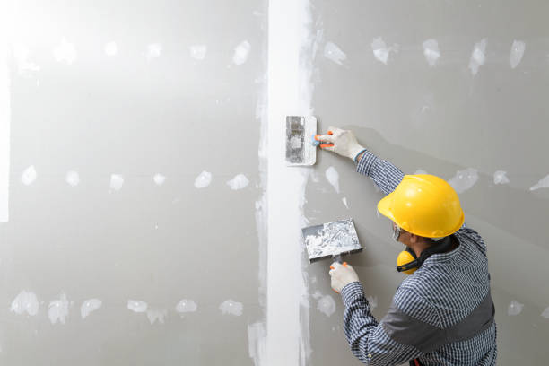 Best Wallpaper Removal and Painting  in Union, NJ