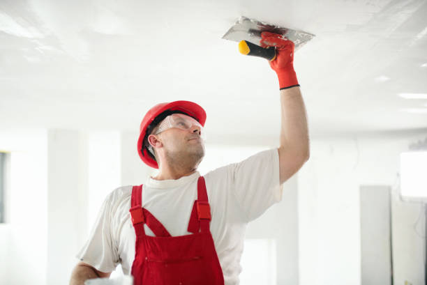 Best Fire-Damaged Drywall Repair  in Union, NJ